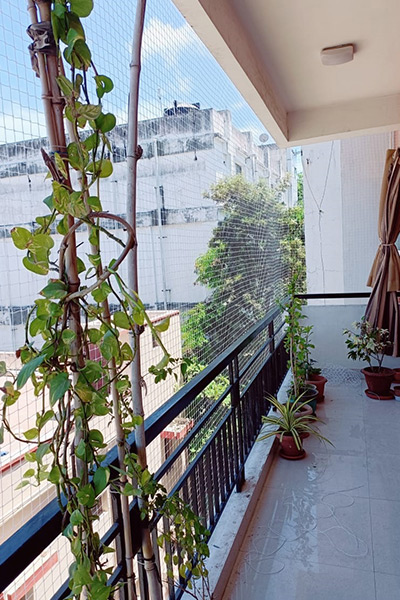 Pigeon-Nets-For-Balcony-in-Chennai